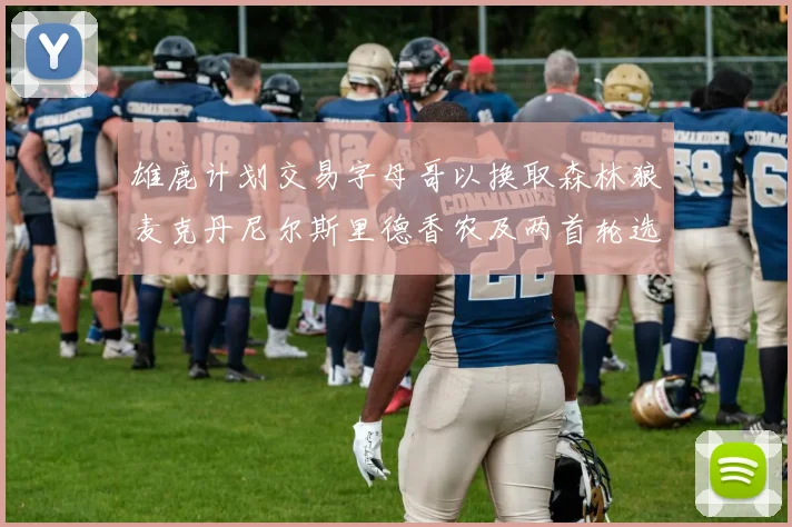 雄鹿计划交易字母哥以换取森林狼麦克丹尼尔斯里德香农及两首轮选秀权