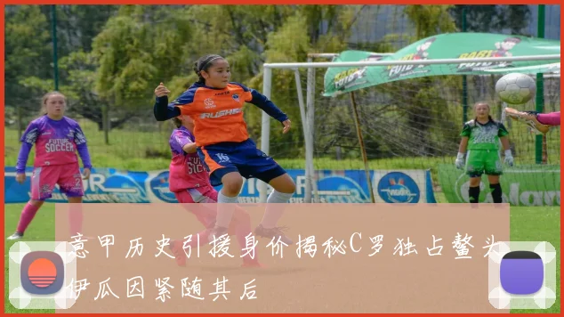 意甲历史引援身价揭秘C罗独占鳌头伊瓜因紧随其后